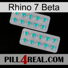 Rhino 7 Beta 29